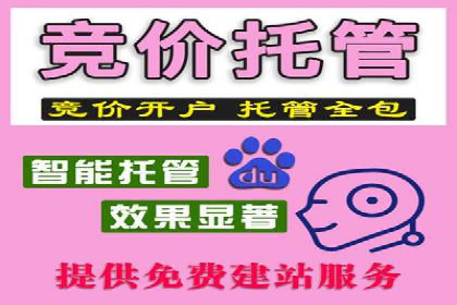 行业领先企业的信息流竞价策略揭秘